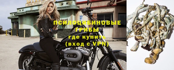 таблы Козловка