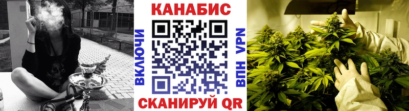 Конопля ГИДРОПОН  Купить закладки  Карачаевск 